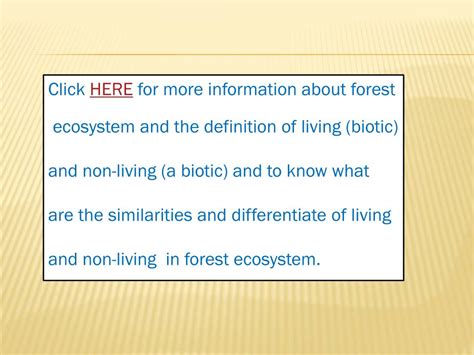 Forest Environment 的图像结果