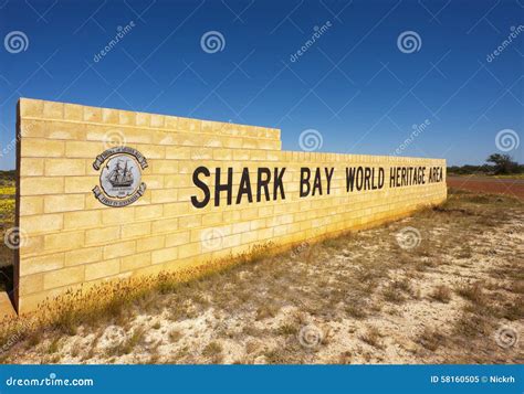 Shark Bay World Heritage Area, WA Stock Image - Image of shark ...