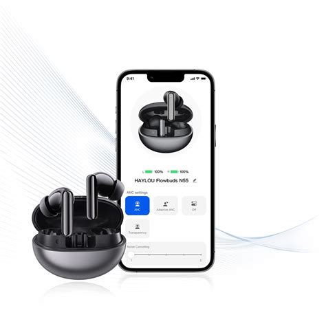 https://haylou.info/images/haylou-flowbuds-n55-04.webp