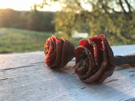 Say It With Beef Jerky Flower Bouquet – NoveltyStreet