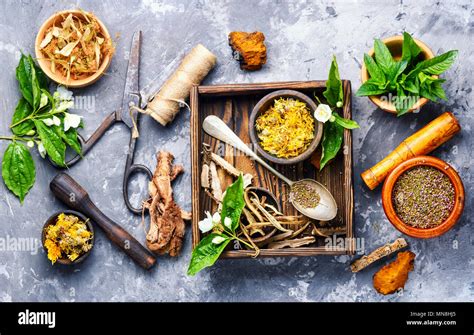 Herb Medicine 的图像结果