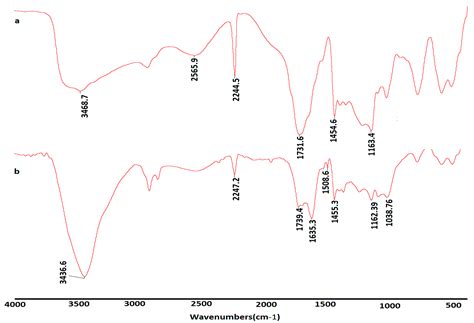 β-Cyclodextrin Modified Poly(Acrylonitrule-co-Acrylic Acid) Hydrogel ...