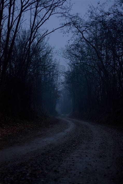 Image result for Dark Humor Animation