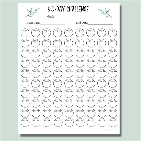 90 Day Money Challenge Chart