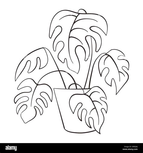 Illustration of plants Plant - 50542d59e6d2e81cd1a32d88ea80c29f Plants ...
