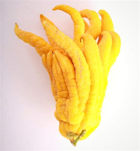 How to Eat Buddha's Hand (Fingered Citron Fruit)