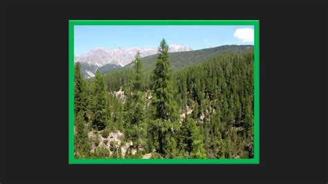 Earth Life 的图像结果