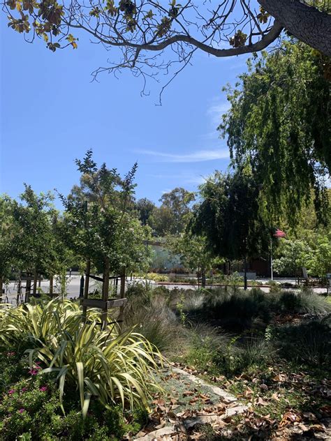 Mountain View Community Center - Siegfried Engineering