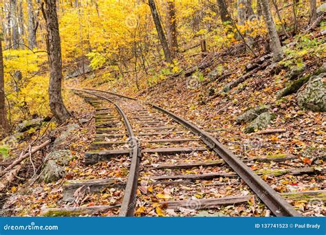 Abandoned Railroad Tracks stock image. Image of nature - 137741523