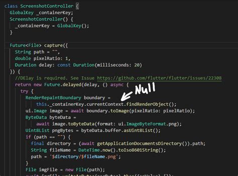 Image result for Flutter Code Screenshot