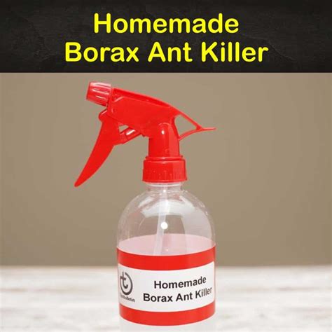 4+ Super Effective Homemade Borax Ant Killer Recipes