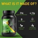 MUSCLEBLAZE Plant Protein, 24 g Vegan Protein, No Added Sugar, Rich ...