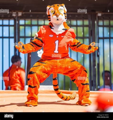 The Clemson Tiger Mascot during the Clemson Football Spring Game ...