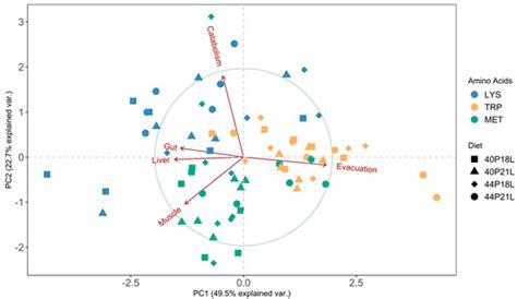 Metabolic Fate Is Defined by Amino Acid Nature in Gilthead Seabream Fed ...