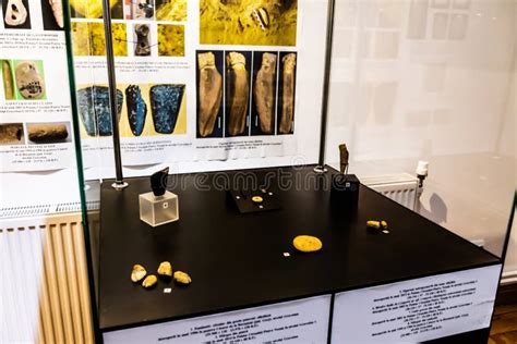 Human Evolution Technology 的图像结果