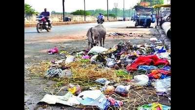 NMC: NMC to issue over two lakh notices for 421 black spots | Nashik ...