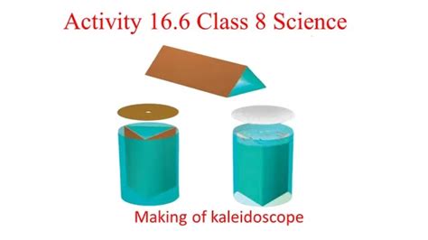 Image result for Class 6 Lesson 8 Science
