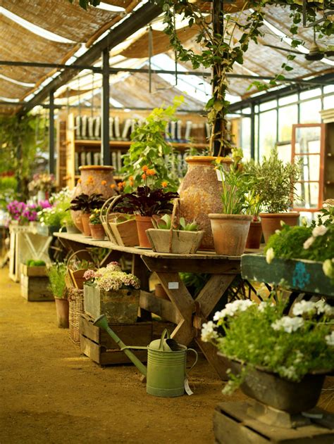 Garden And Nurseries Near Me - KGarden Plant