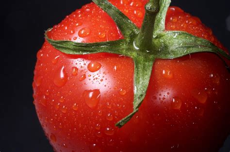 作为果蔬界的颜值担当，一颗番茄的国际标准是什么？ - 知乎