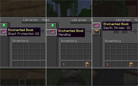 Can You Get Protection Books From Villagers? – MIIKME