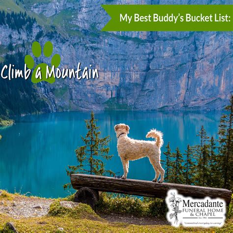 Mercadante Funeral Home & Chapel | Worcester MA