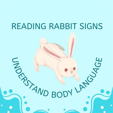 Read Rabbits Body Language: Understand Your Bunny Behaviour – Farmer Pete's