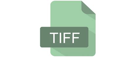 Image result for Sample Tiff File