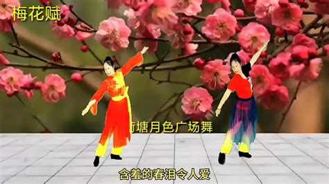 广场舞《梅花赋》最新火爆流行广场舞-舞蹈视频-搜狐视频