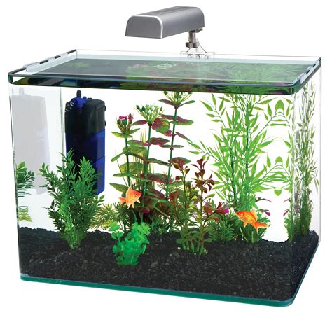 5 Gallon Fish Tanks