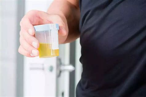 स्वतःचं मूत्र प्राशन करायचे भारताचे पंतप्रधान, जाणून घ्या काय आहे युरिन ...