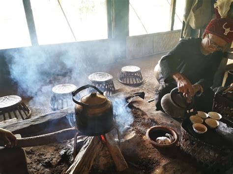 越南咖啡进入收获季节 村民采摘咖啡豆（组图）|越南|咖啡_凤凰资讯