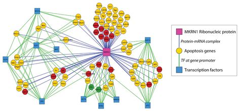 Image result for Cytoscape Network Analysis Tutorial