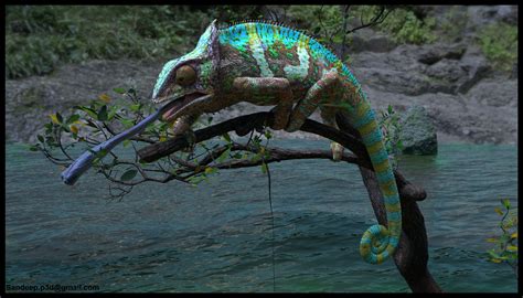 Chameleons Camouflage