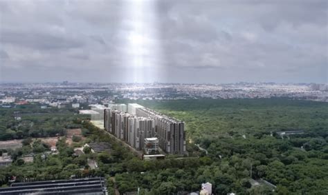 A2A Home Land | Blog