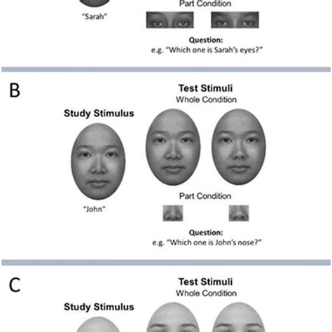 Global Local Task 的图像结果