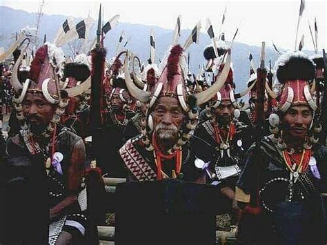 DZUKOU VALLEY JAKHAMA KOHIMA NAGALAND - Campground Reviews & Photos ...