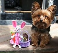 Image result for Personalized Easter Gifts