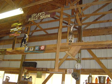 Our visit to the Upland Hills Farm | Mrs. Slater's Class