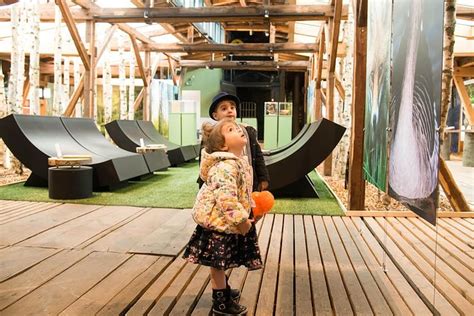 2025 sleeperoo Experience overnight in the UNESCO World Heritage Fagus ...