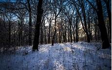 Winter Woods Wallpaper by 30 Beautiful Winter Wallpapers Backgrounds Images Winter Woods Wallpaper