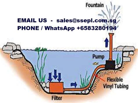 Image result for How Set Up Koi Vortex Filter System
