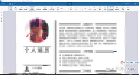 Image result for How to Open OFD Files