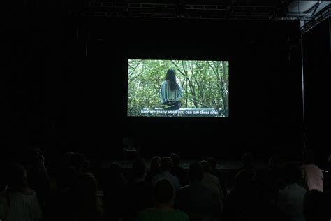 Mia Štark – Forecast