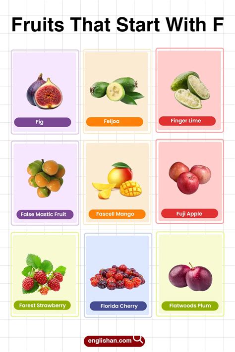 50+ Fruits That Start With F for Vocabulary