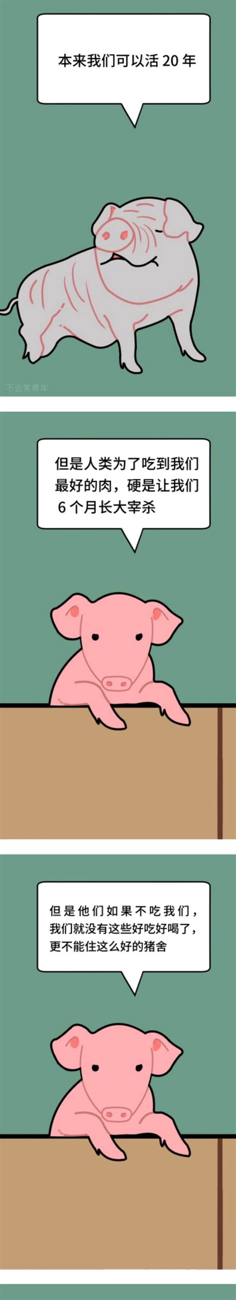 漫画 | 如果我是一头猪！ - 纯洁的微笑博客