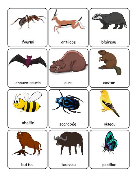 All Animals Names In French