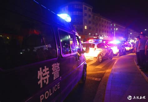 好评不断！《巡逻现场实录2017》把镜头对准守护上海安全的民警_文体社会_新民网