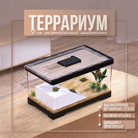 Террариум с крышкой для рептилий, пауков, улиток, богомолов, палочника ...