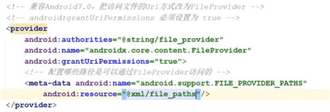 File Provider Android Example 的图像结果