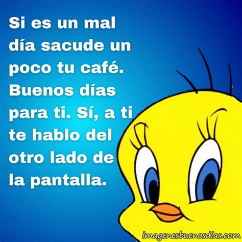 +50 Imágenes de Piolín con Mensajes de Buenos Días y Frases | Buenos ...